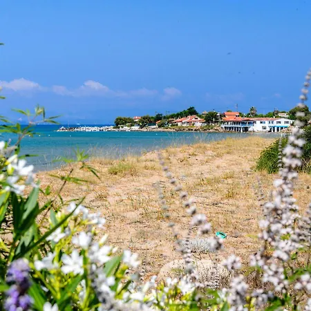 Taxiarhis 3* 瓦尔索洛米翁