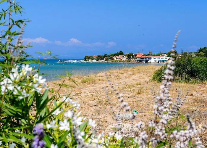 Taxiarhis 3* Vartholomión